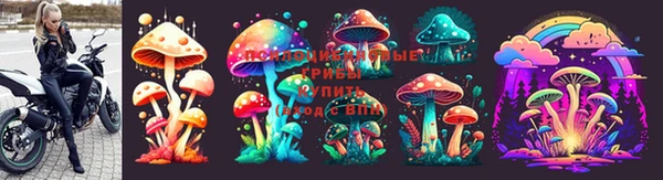 mdpv Ладушкин