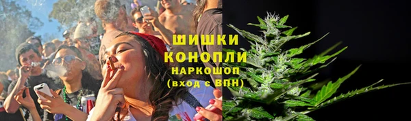 прущие грибы Краснослободск