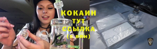 ПСИЛОЦИБИНОВЫЕ ГРИБЫ Коряжма