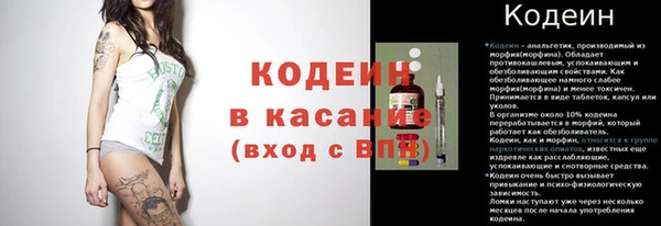 шишки Лагань