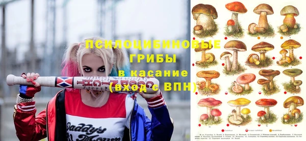 твердый Кулебаки