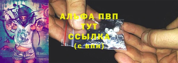 PSILOCYBIN Костерёво