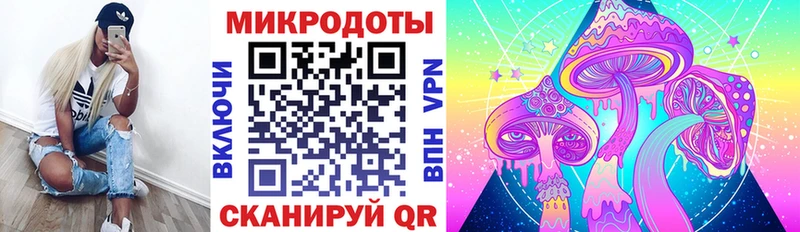 mega как войти  Куртамыш  Галлюциногенные грибы Psilocybine cubensis 